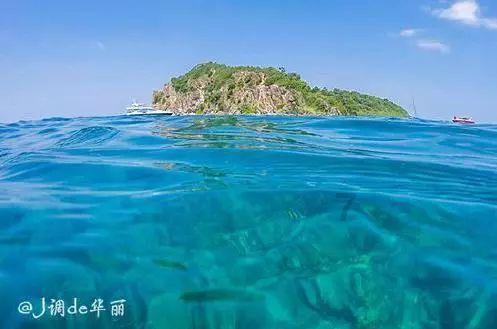 蝙蝠侠：阿甘骑士
