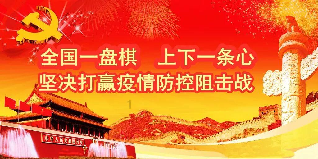 金毛夫妇上演秀恩爱 这狗粮吃得我心服口服